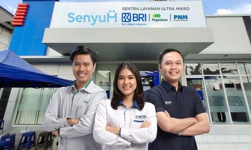 Ekosistem Ultra Mikro BRI Group Dorong Kinerja PNM Melesat  