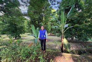 Kisah Perjuangan Mantri Perempuan BRI Tembus Medan Ekstrem di Sultra