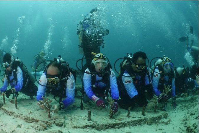 BRI dan Masyarakat Kolaborasi Pulihkan Ekosistem Laut Kepulauan Sabang