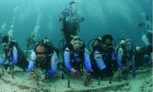 BRI dan Masyarakat Kolaborasi Pulihkan Ekosistem Laut Kepulauan Sabang