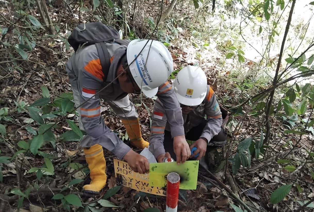 PT PLN (Persero) melalui Unit Induk Pembangunan Kalimantan Bagian Timur (PLN UIP KLT) memulai survei topografi dan pemetaan jalur Saluran Udara Tegangan Tinggi (SUTT) 150 kV