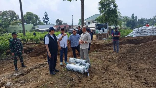 PTPN I (Persero) Siapkan Lahan Bawang Putih di Kebun Teh Gedeh