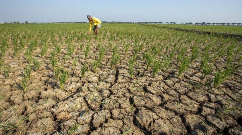 Kenali Apa Itu El Nino Godzilla yang Disebut Segera Melanda Indonesia