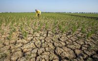 Kenali Apa Itu El Nino Godzilla yang Disebut Segera Melanda Indonesia
