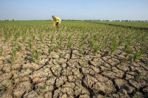 Kenali Apa Itu El Nino Godzilla yang Disebut Segera Melanda Indonesia
