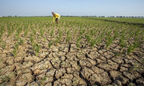 Kenali Apa Itu El Nino Godzilla yang Disebut Segera Melanda Indonesia
