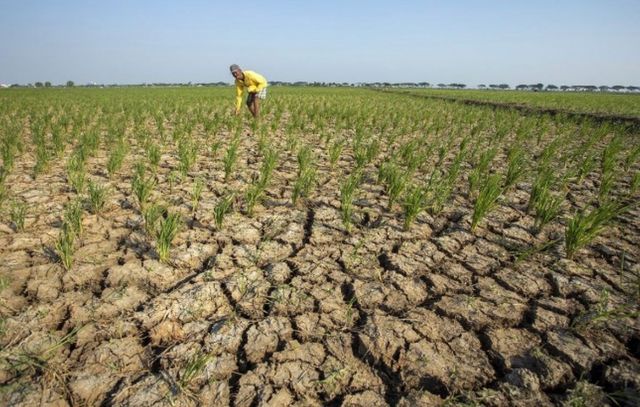 Kenali Apa Itu El Nino Godzilla yang Disebut Segera Melanda Indonesia