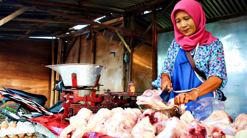 PENJUAL_DAGING_AYAM.jpg