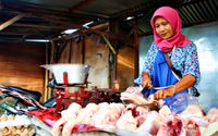 PENJUAL_DAGING_AYAM.jpg