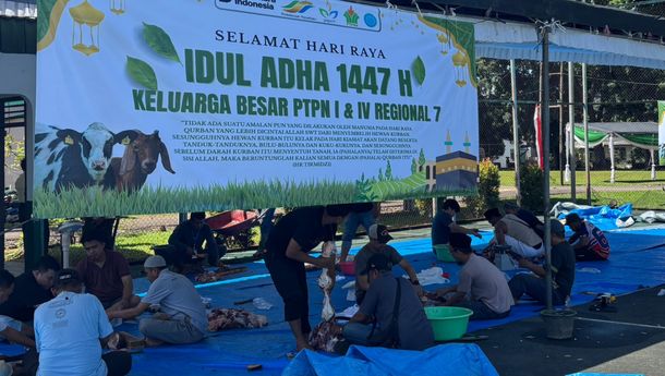 PTPN I dan PTPN IV Regional 7 Sembelih 6 Sapi dan 12 Kambing Kurban