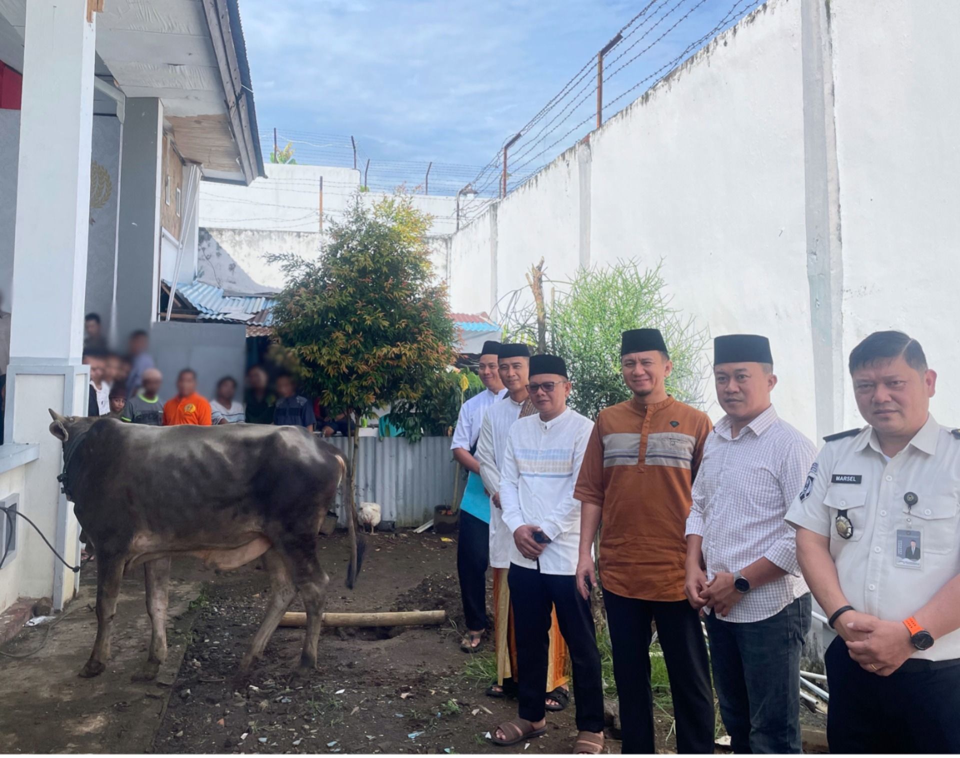 Kegiatan pemotongan hewan kurban.