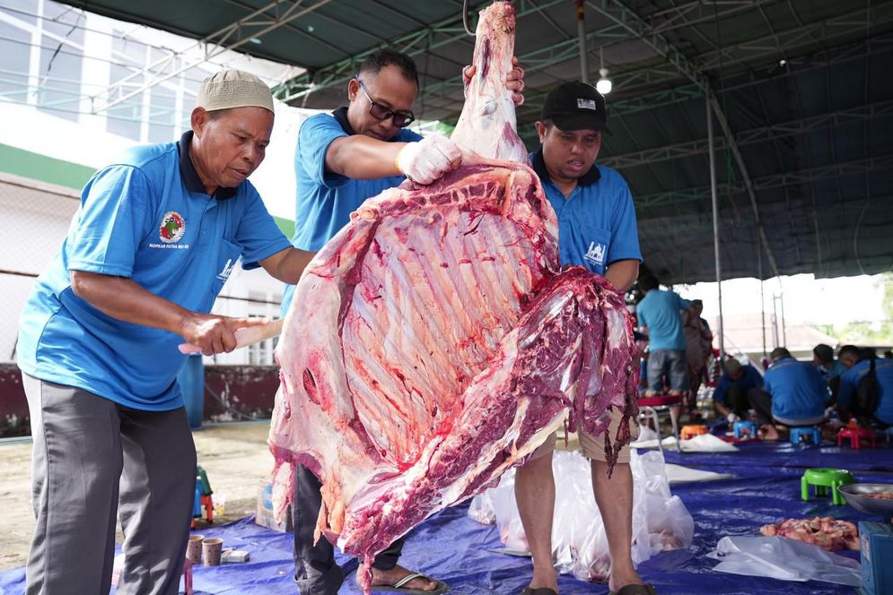 Daging