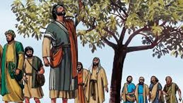 Bacaan Liturgis, Jumat, 29 Mei 2026: Percayalah kepada Allah