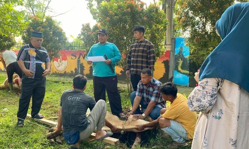 penyembelihan hewan kurban di SMKN 9 Medan