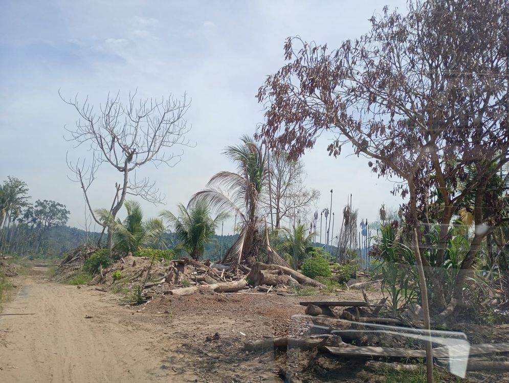 PERMAMPU Desak Pemerintah Serius Tangani Bencana Ekologis