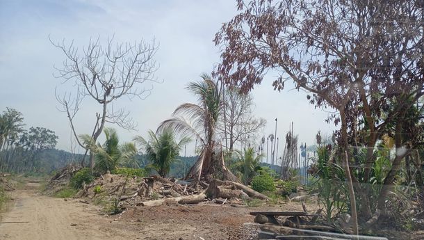 PERMAMPU: Pemerintah Mesti Serius Menangani Bencana Ekologis Sumatera