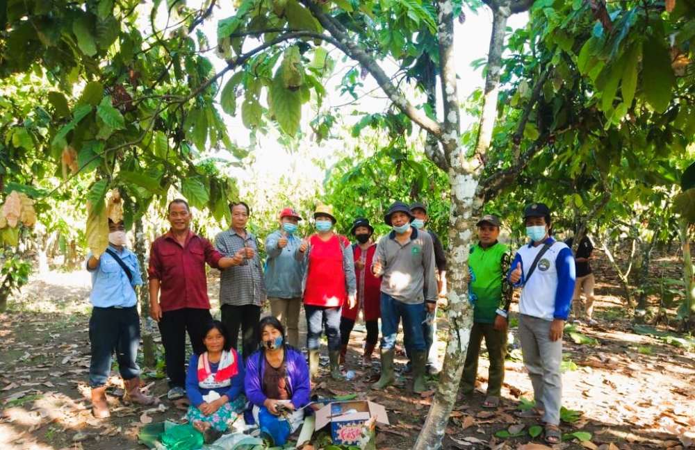 Petani kakao di Kabupaten Kutai Timur. 