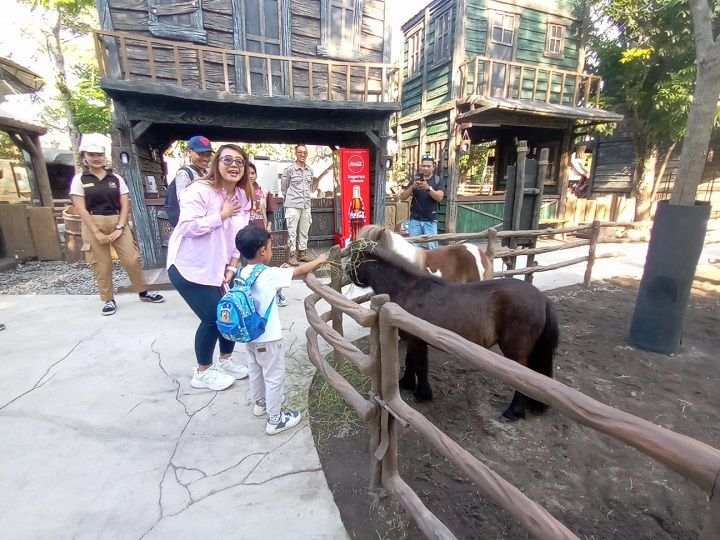 Pony Park Klaten Usung Konsep Wisata Berbasis Edukasi Satwa