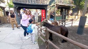 Pony Park Klaten Usung Konsep Wisata Berbasis Edukasi Satwa