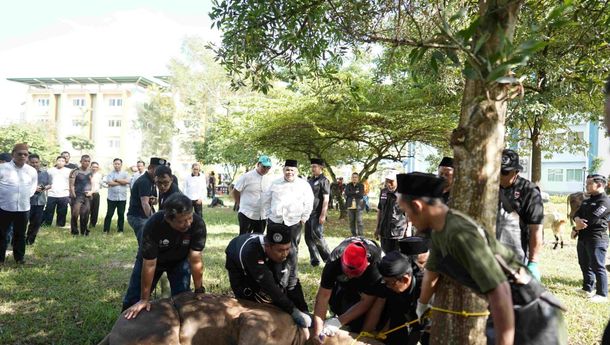 UIN Raden Intan Lampung Sembelih 19 Hewan Kurban pada Iduladha 1447 H
