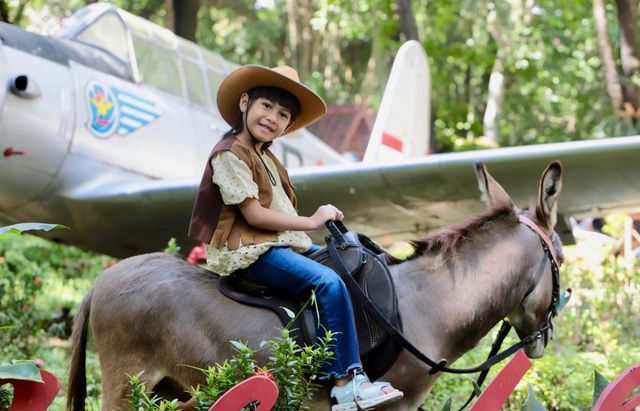 Rekomendasi Destinasi Wisata Edukasi Sekitar Surakarta dan Yogyakarta: Gembira Loka Zoo