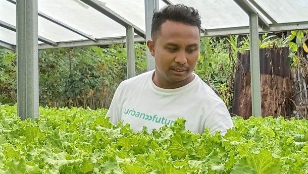 Mantan ASN Pilih Bertani Hidroponik, Pasok Sayuran Segar untuk Labuan Bajo