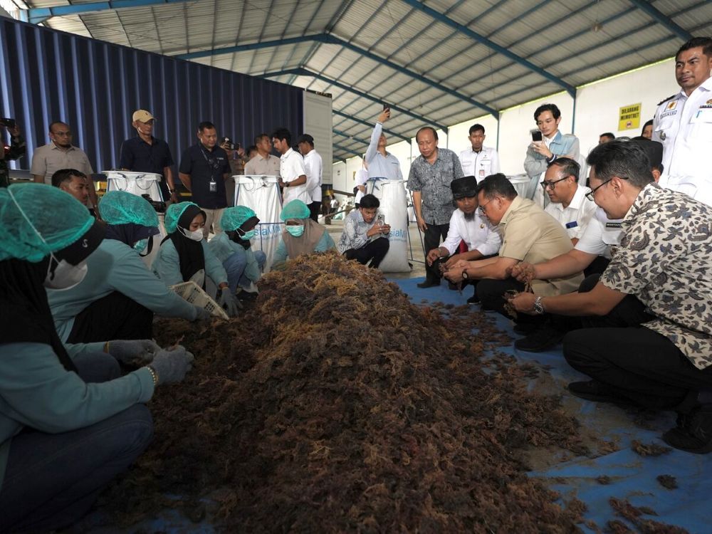 Fasilitas pabrik pengolahan rumput laut milik PT Asia Mina Sejahtera Tbk.
