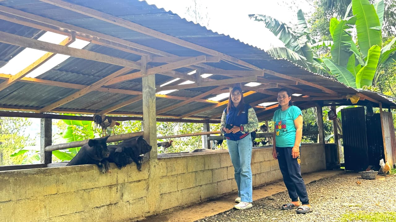 Kisah Mantri BRI Perempuan Tembus Pegunungan Toraja Demi Layani Warga