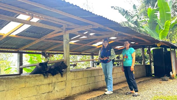 Inspiratif! Mantri BRI Perempuan Jadi Penggerak Ekonomi Masyarakat Toraja