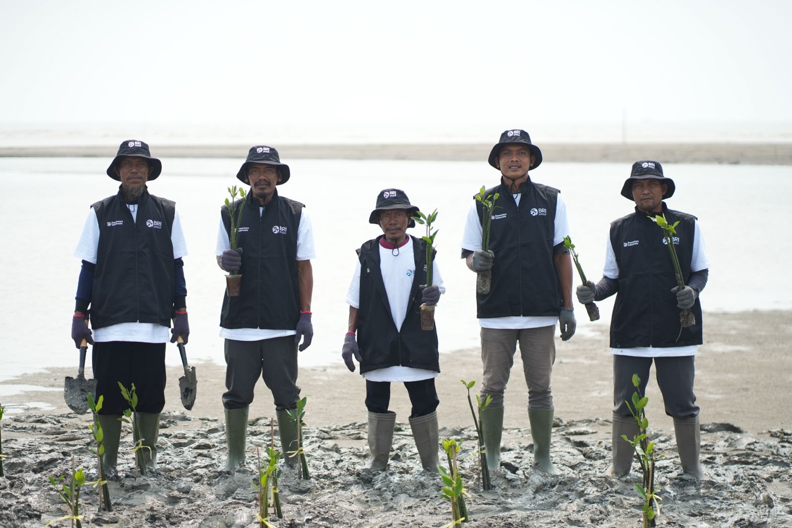 BRI Peduli Perluas Program Grow & Green, 24.000 Mangrove Ditanam di Karawang