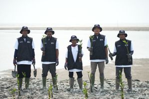 BRI Peduli Perluas Program Grow & Green, 24.000 Mangrove Ditanam di Karawang