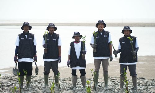 BRI Peduli Perluas Program Grow & Green, 24.000 Mangrove Ditanam di Karawang