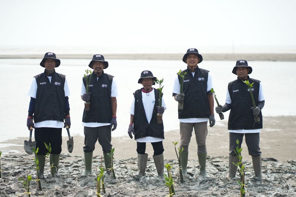 BRI Peduli Perluas Program Grow & Green, 24.000 Mangrove Ditanam di Karawang