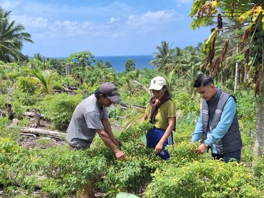 Kisah Mantri BRI di Talaud, Menembus Desa Demi Dampingi UMKM Berkembang