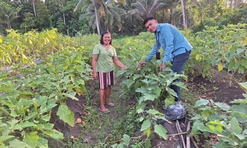 Menembus Jalan Berlumpur, Mantri BRI Ini Dampingi UMKM di Kepulauan Talaud