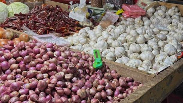Inflasi Tahunan Lampung Terendah se-Sumatera, Juli 2026 Deflasi 0,49 Persen
