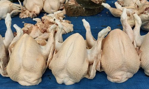 Harga daging ayam di Gunungsitoli menembus Rp60 ribu per kilogram