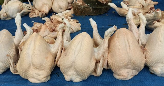 Harga daging ayam di Gunungsitoli menembus Rp60 ribu per kilogram