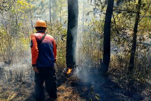 Puncak risiko kebakaran hutan dan lahan (karhutla) diperkirakan terjadi pada Agustus hingga September 2026