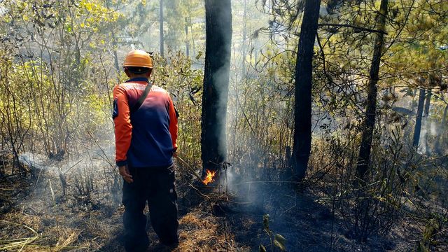 Puncak risiko kebakaran hutan dan lahan (karhutla) diperkirakan terjadi pada Agustus hingga September 2026