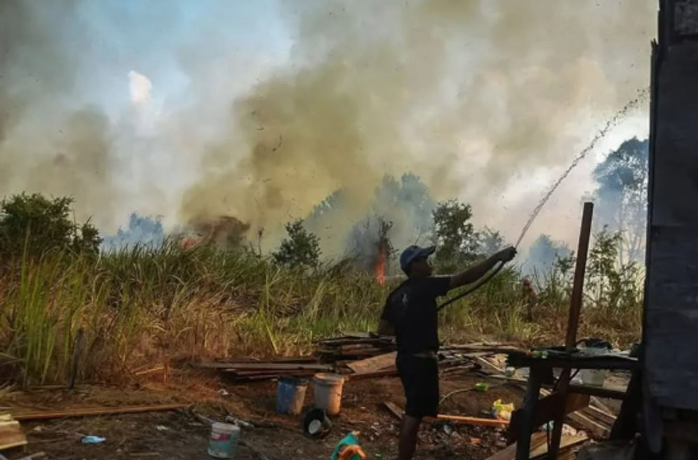 Kebakaran hutan dan lahan terus berlanjut