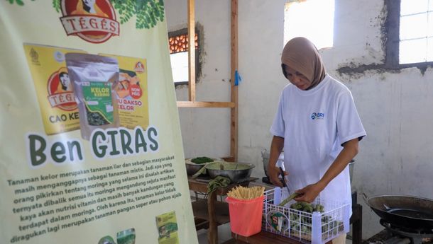 BRI Peduli Perluas Dukungan UMKM Desa Brilian melalui Pendampingan Usaha