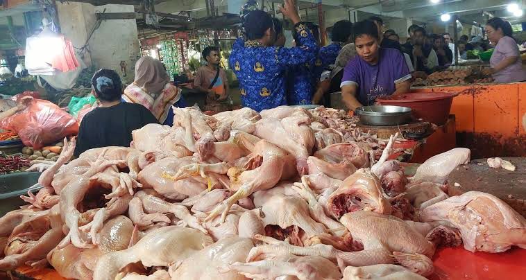 Harga daging ayam ras terus melonjak usai libur sekolah