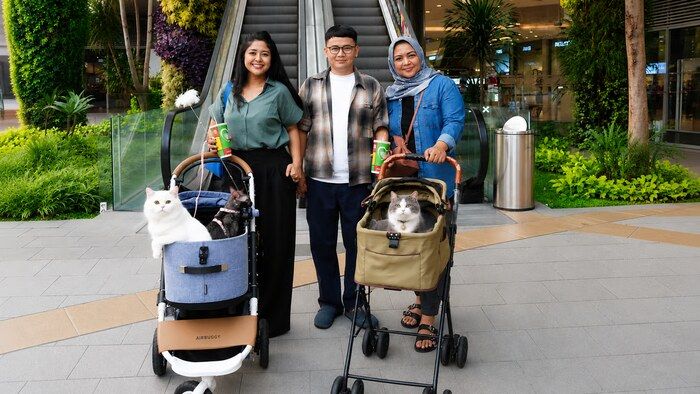 Grand Galaxy Park, cat-friendly mall