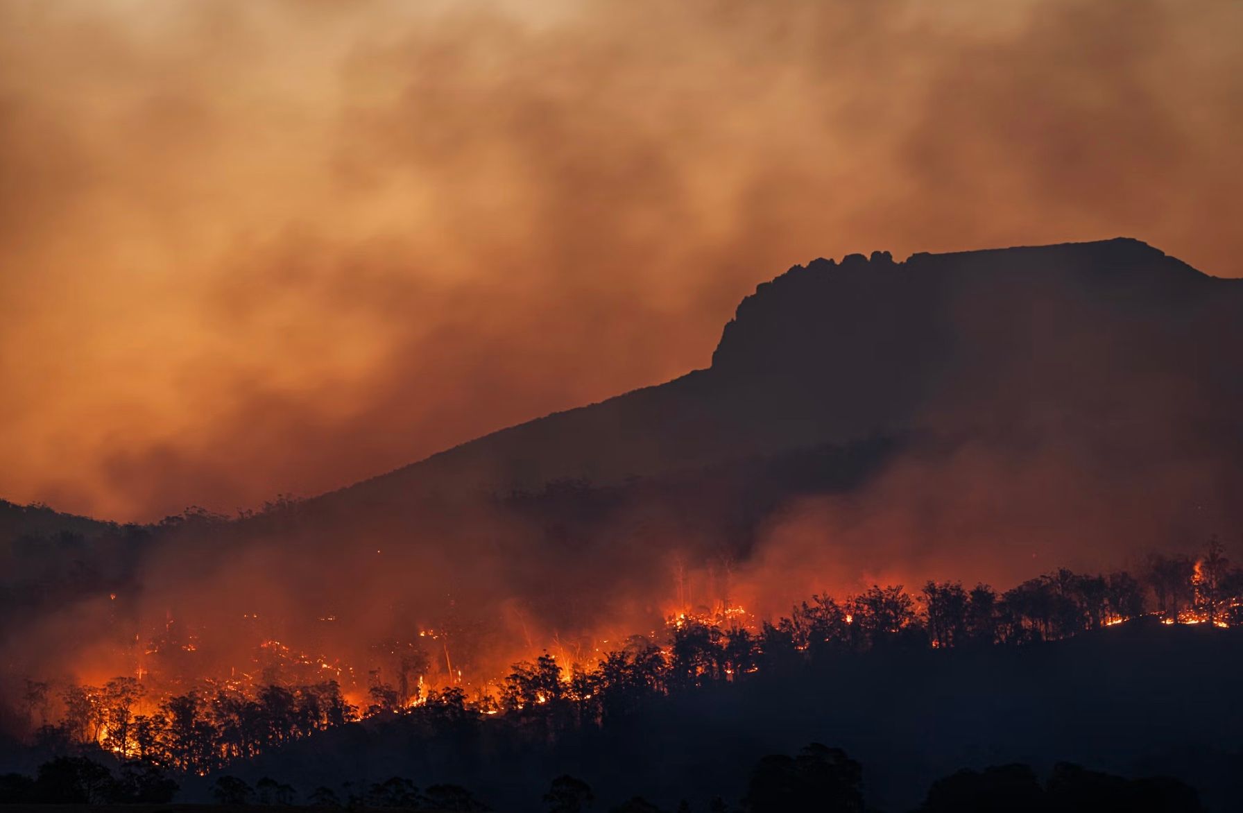 Waspada! Ini Bahaya Menghirup Asap Akibat Kebakaran Hutan dan Polusi