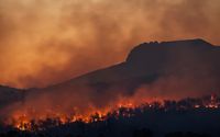 Waspada! Ini Bahaya Menghirup Asap Akibat Kebakaran Hutan dan Polusi
