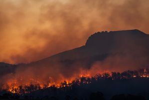 Waspada! Ini Bahaya Menghirup Asap Akibat Kebakaran Hutan dan Polusi