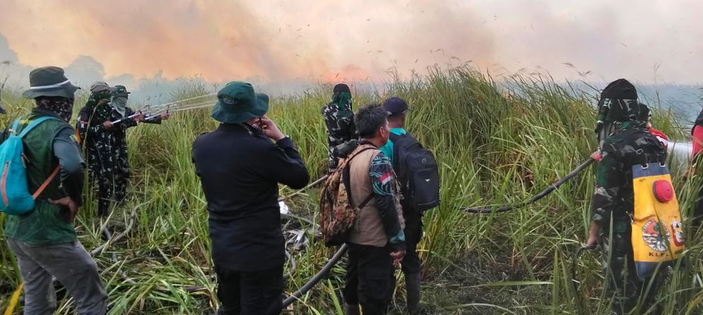 Pangdam Kerahkan Yonif TP 943DPC Bantu Padamkan Karhutla Way Kambas.jpeg