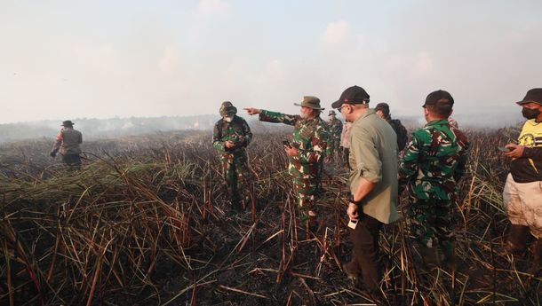 Gubernur Tinjau Kebakaran di Braja Harjosari, Tim Cegah Api Masuk TN Way Kambas