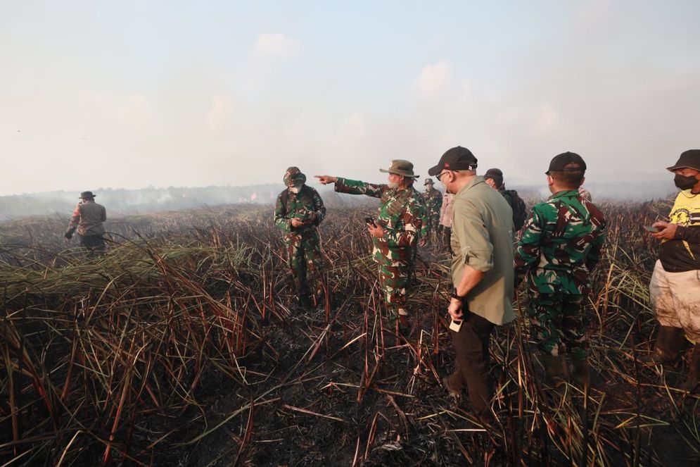 Gubernur Tinjau Kebakaran di Braja Harjosari, Tim Cegah Api Masuk TN Way Kambas.jpeg